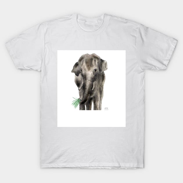 elephant T-Shirt by snapthat